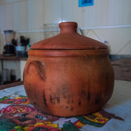 Chapada Backpackers Hostel Agencia 伦索伊斯 外观 照片